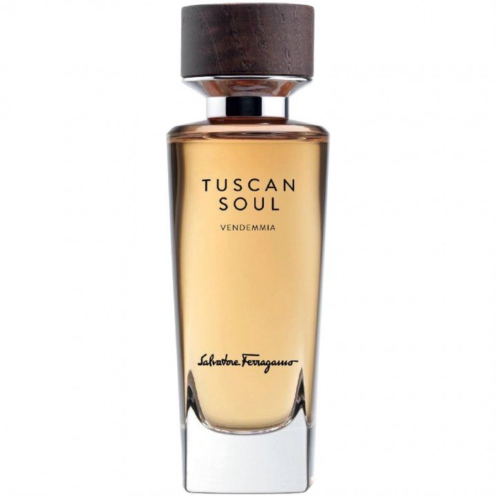 Tuscan Soul - Vendemmia